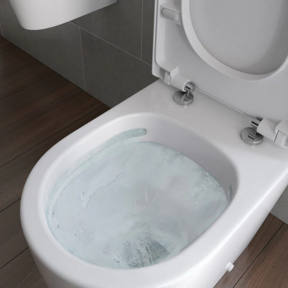 Ajax Caistor Back to Wall WC and Soft Close Seat - Image 3